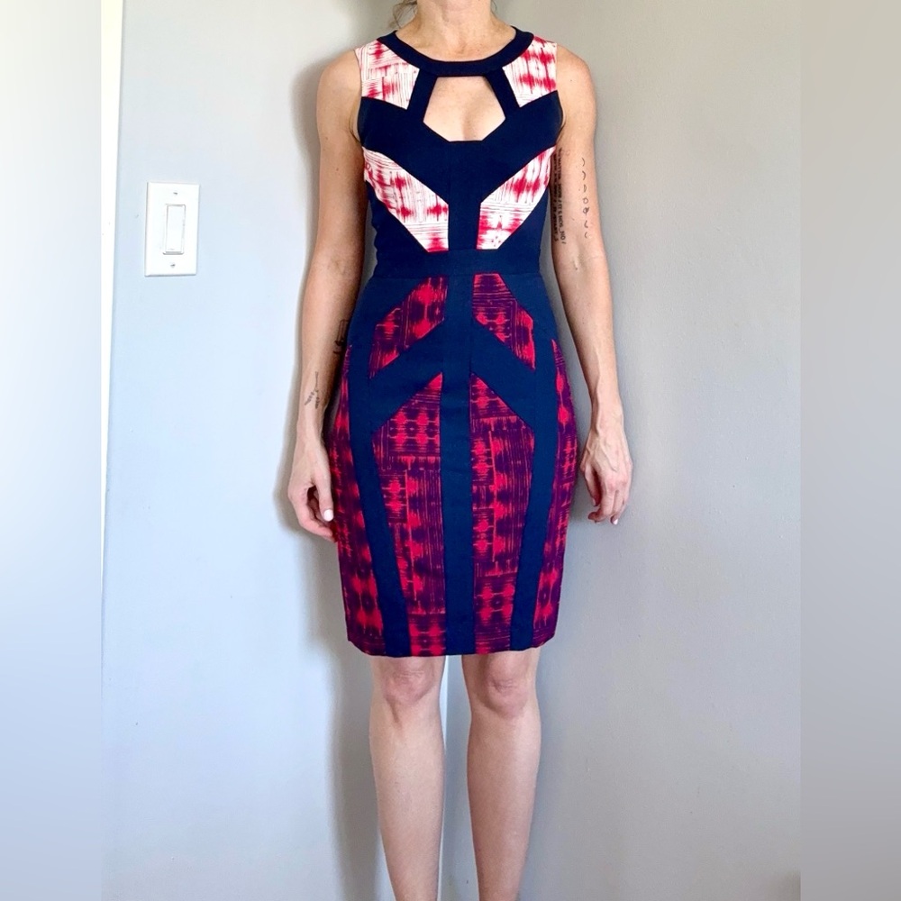 Anthro-BCBG Print Dress